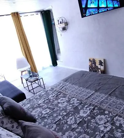 Le Cosy Joli F2 Proche Gare, Arenes Avec Terrasse Privee Lejlighed *