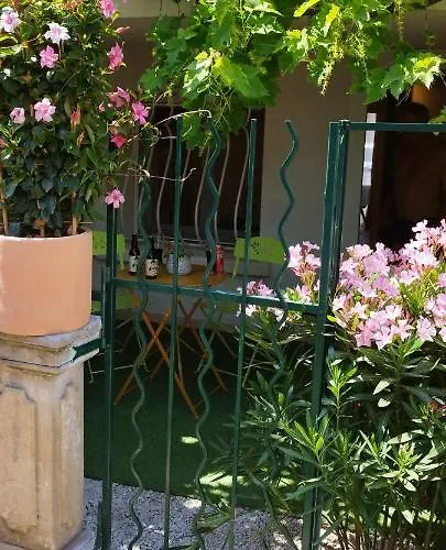 Le Cosy Joli F2 Proche Gare, Arenes Avec Terrasse Privee Lägenhet Nîmes